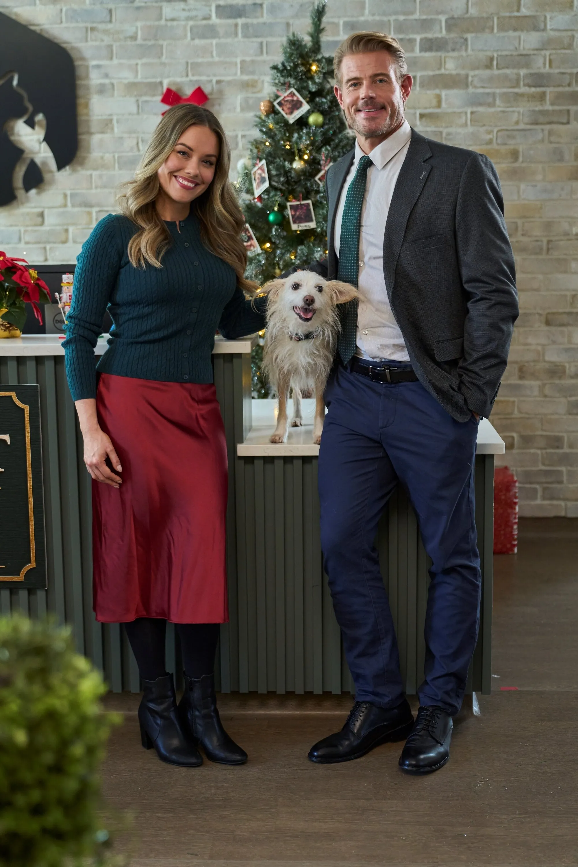 Stephanie Bennett and Trevor Donovan stand with Niffy in front of a decorated Christmas tree.