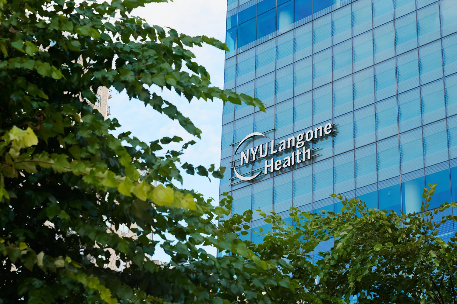 NYU Langone Health sign on a blue glass building framed by leafy trees