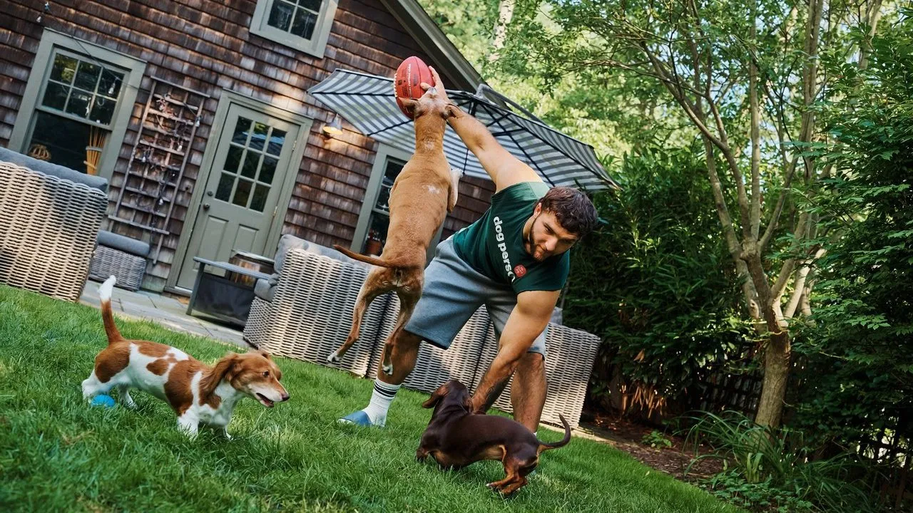 Man holds a football above a jumping dog as two other dogs play on a backyard lawn.